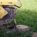 Dallas Stump Grinding