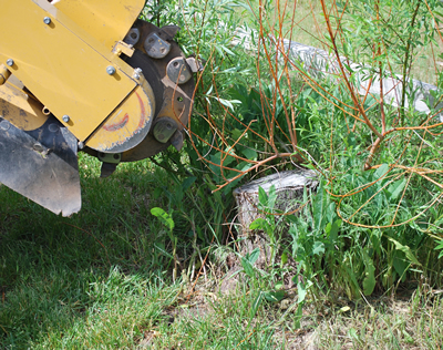 Dallas Stump Grinding